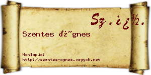 Szentes Ágnes névjegykártya