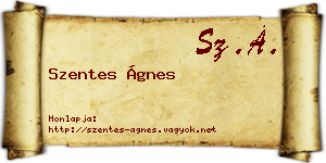 Szentes Ágnes névjegykártya